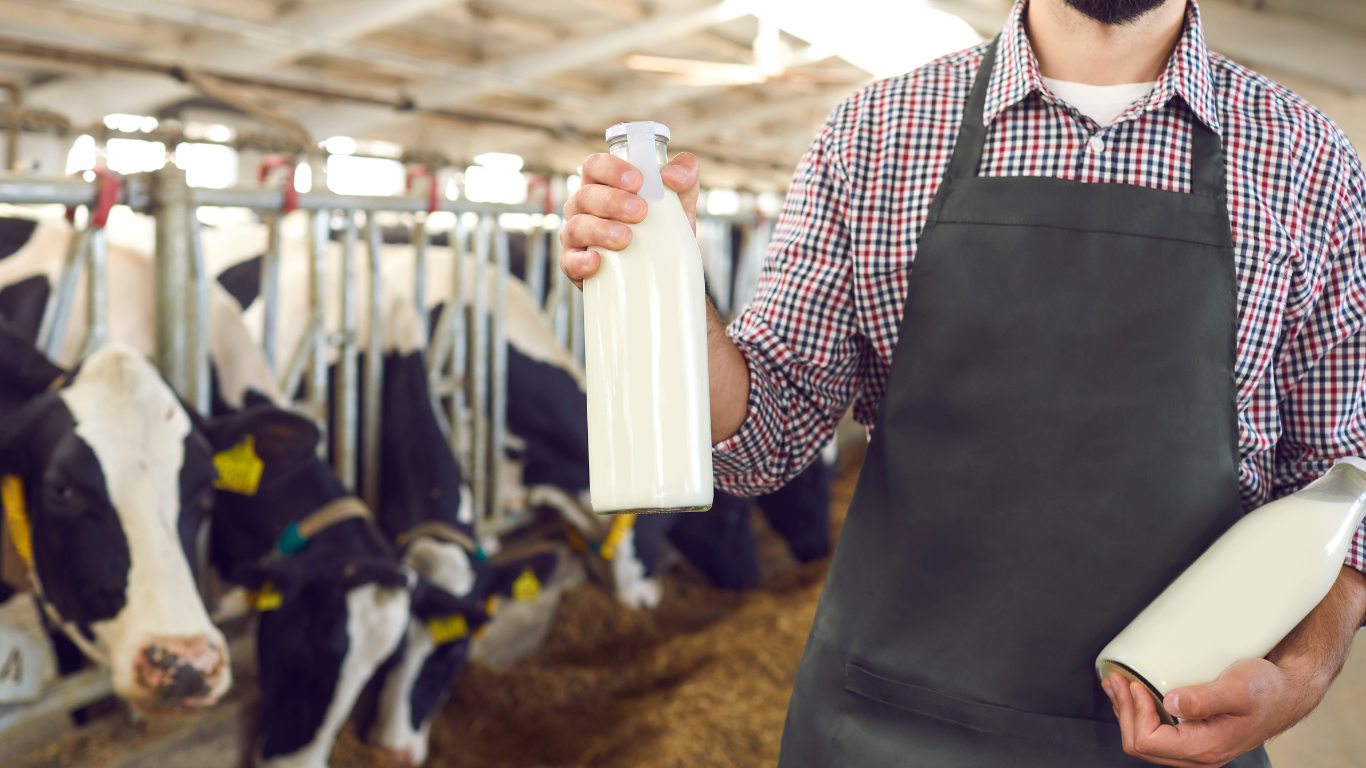 The Dairy Parlor Routine: Efficiency and Humanity in Milking Practices