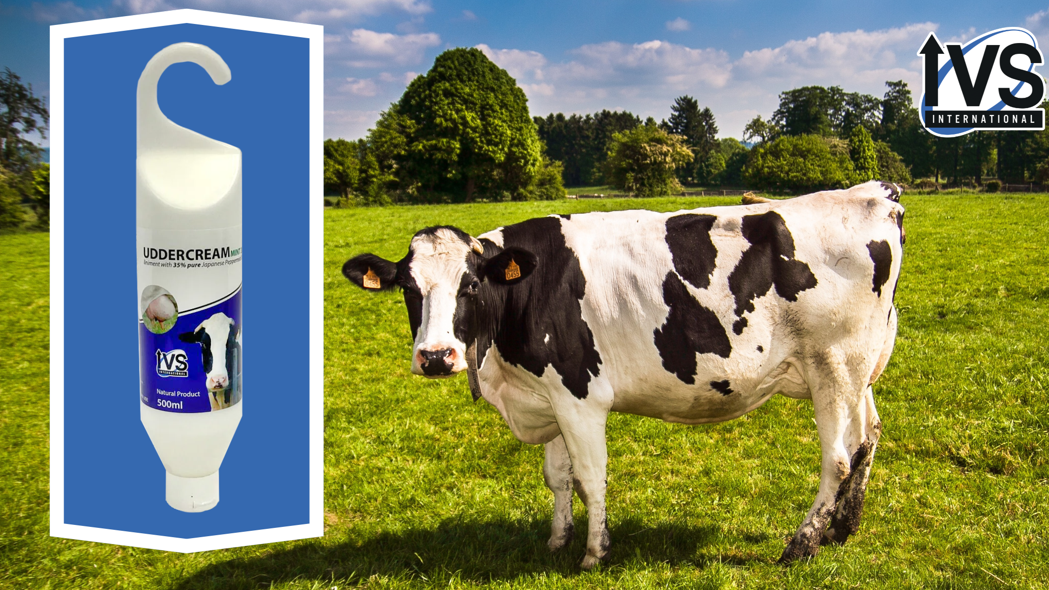 IVS Udder Cream Cow