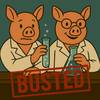 Swine MythBusters: 5 Things You’ve Heard That Just Aren’t True
