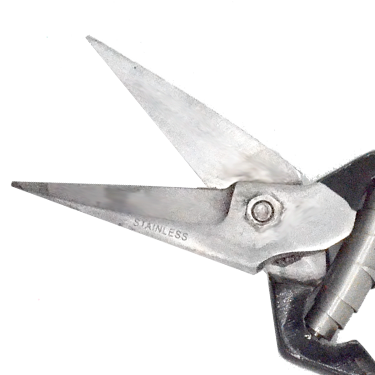 Schafhufschere mit Lederbezug