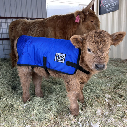 ThermaCalf™ Calf Blanket