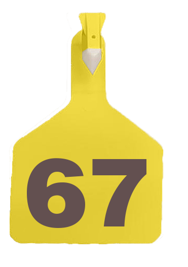 Numbered One-Piece Z Tag/X-Large (Bag/25)