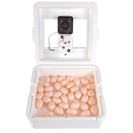 Little Giant® Digital Still Air Incubator