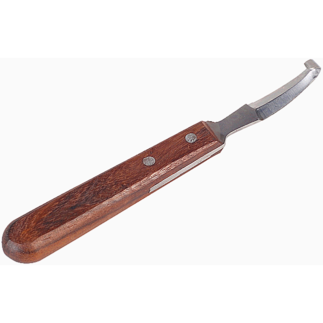 Coltello per zoccoli di pecora