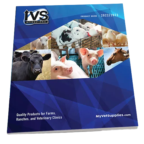 IVS Trang trại quốc tế của bạn, Ranch & Vet Nhà cung cấp